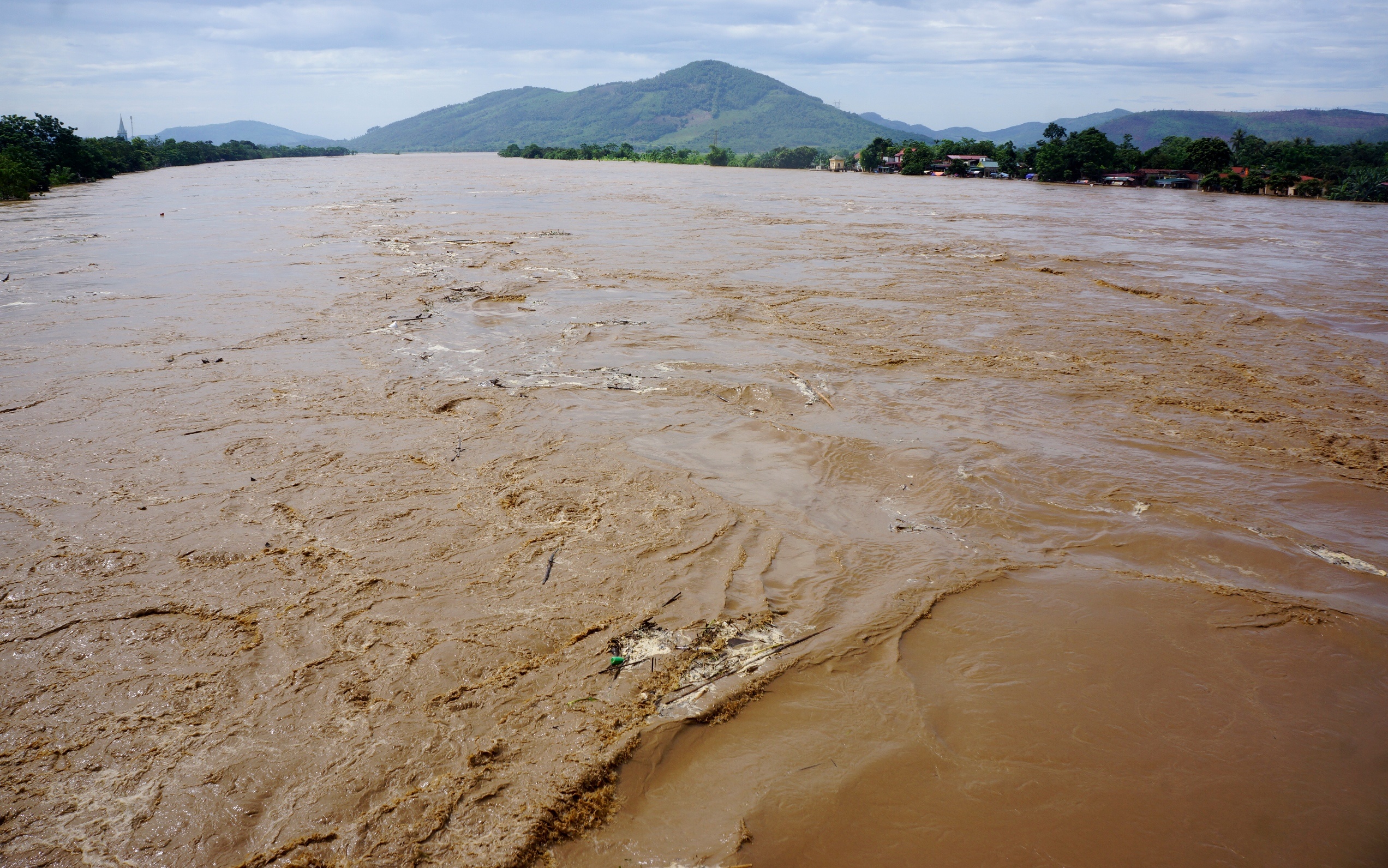 vat lon cuu dan lon trong nuoc lu anh 1