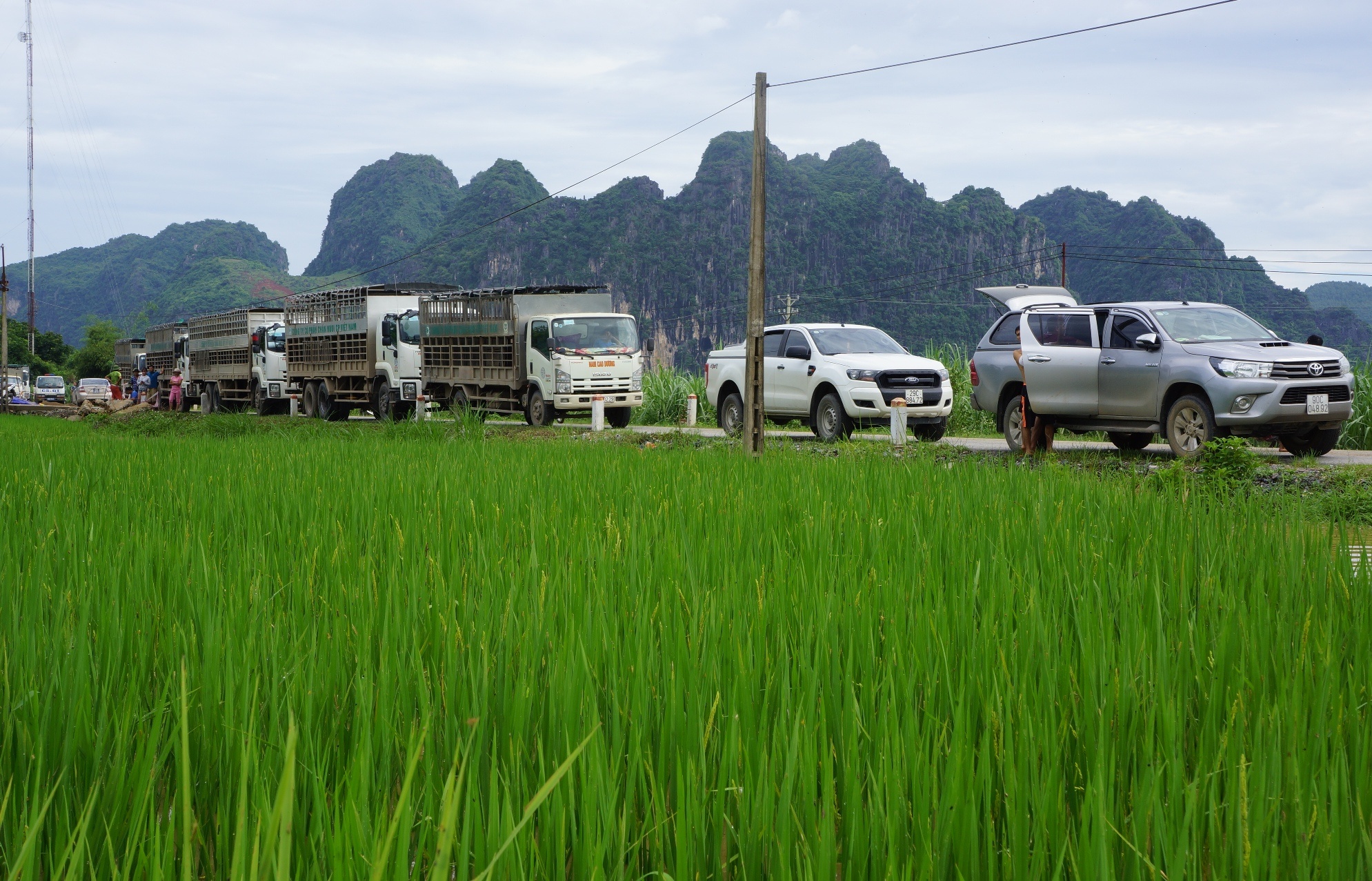 nha ven song Ma ngap sau anh 11