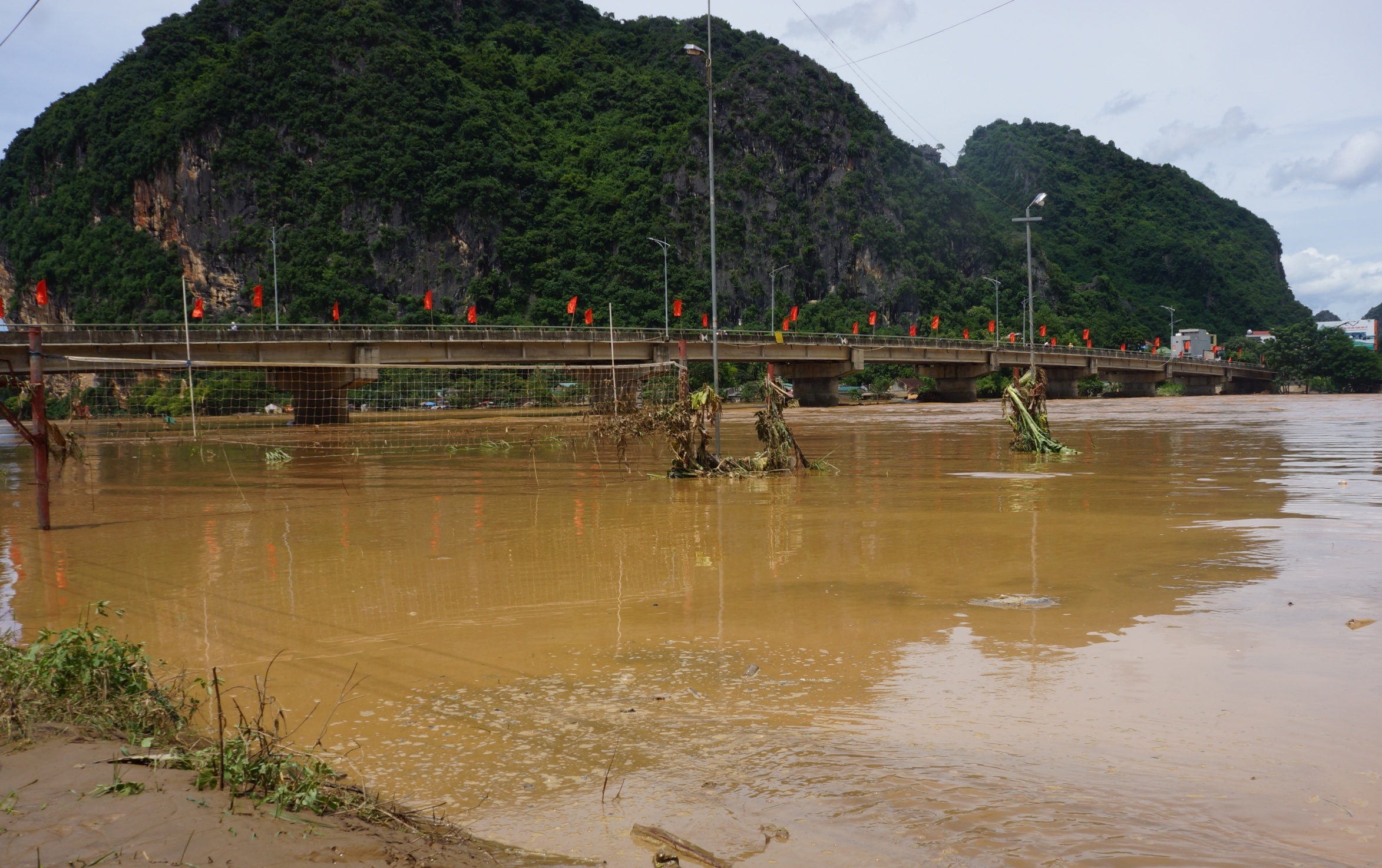 tat bat don bun sau lu anh 1
