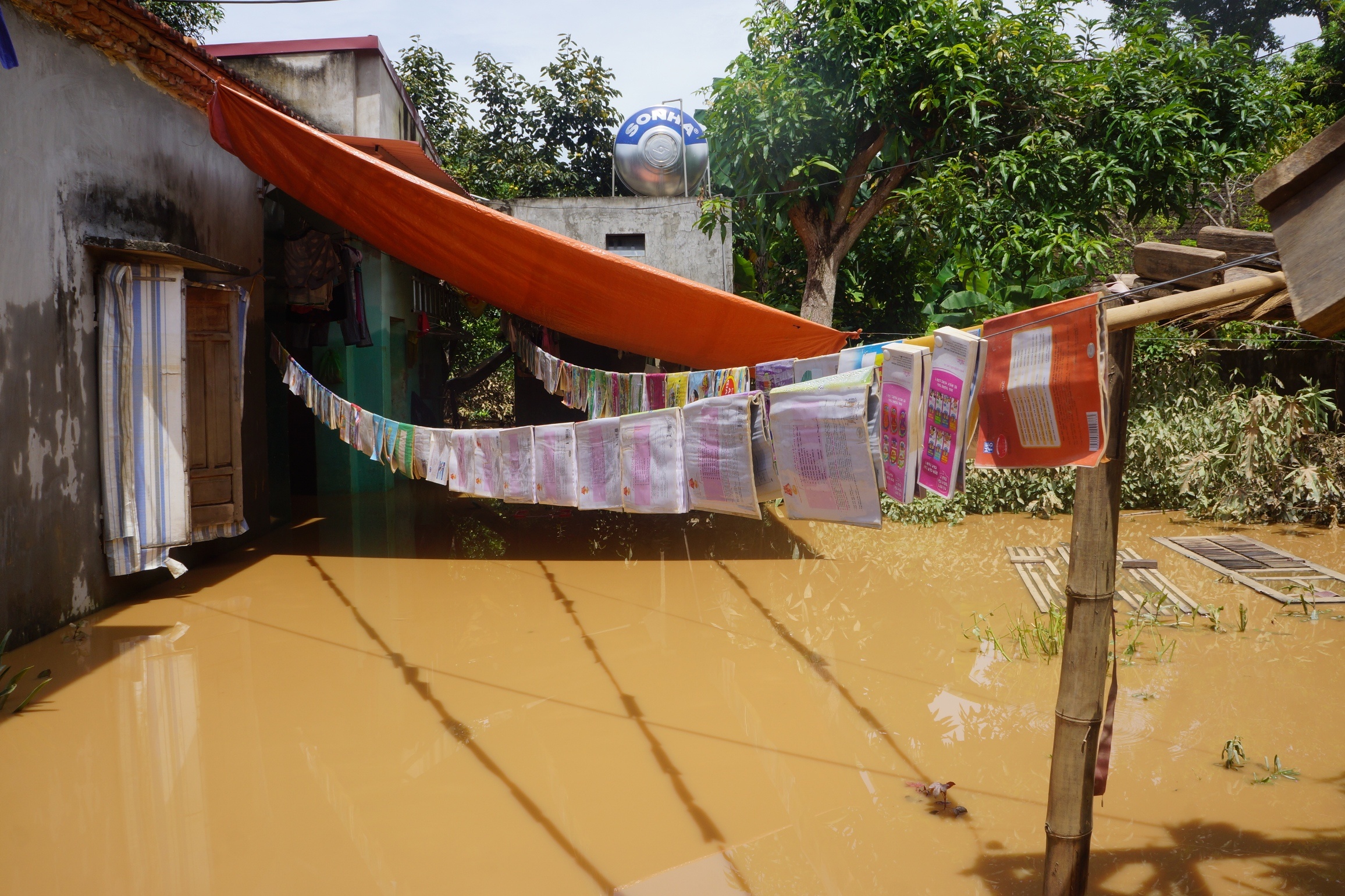 tat bat don bun sau lu anh 10