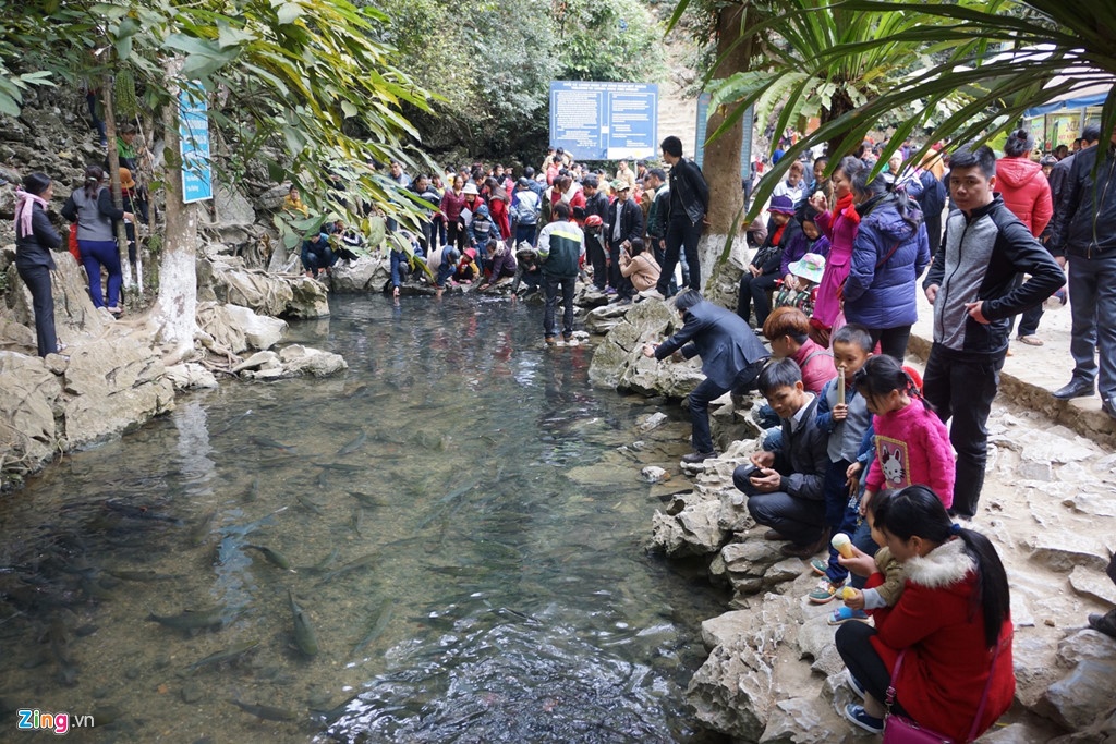 suoi ca than duc ngau anh 2