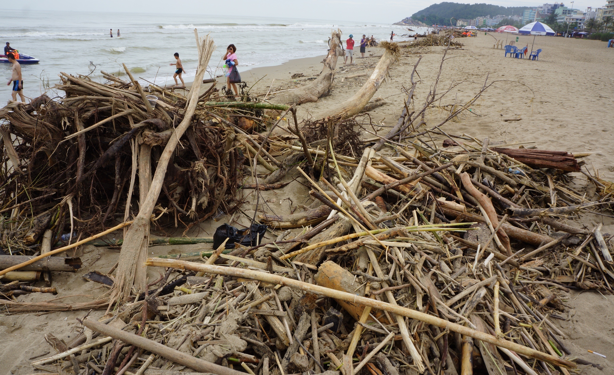 Bien Sam Son ngap rac anh 2