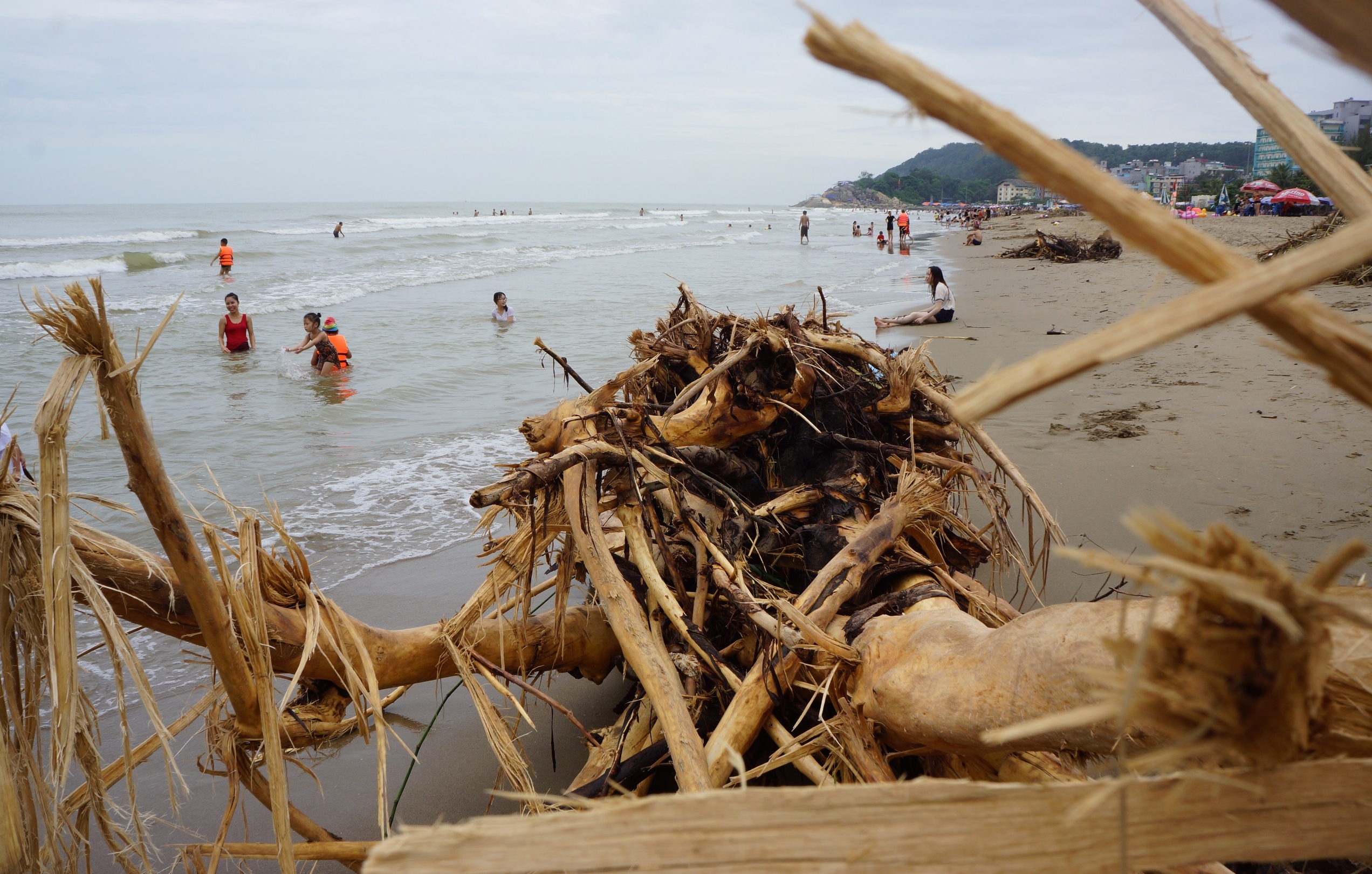 Bien Sam Son ngap rac anh 5