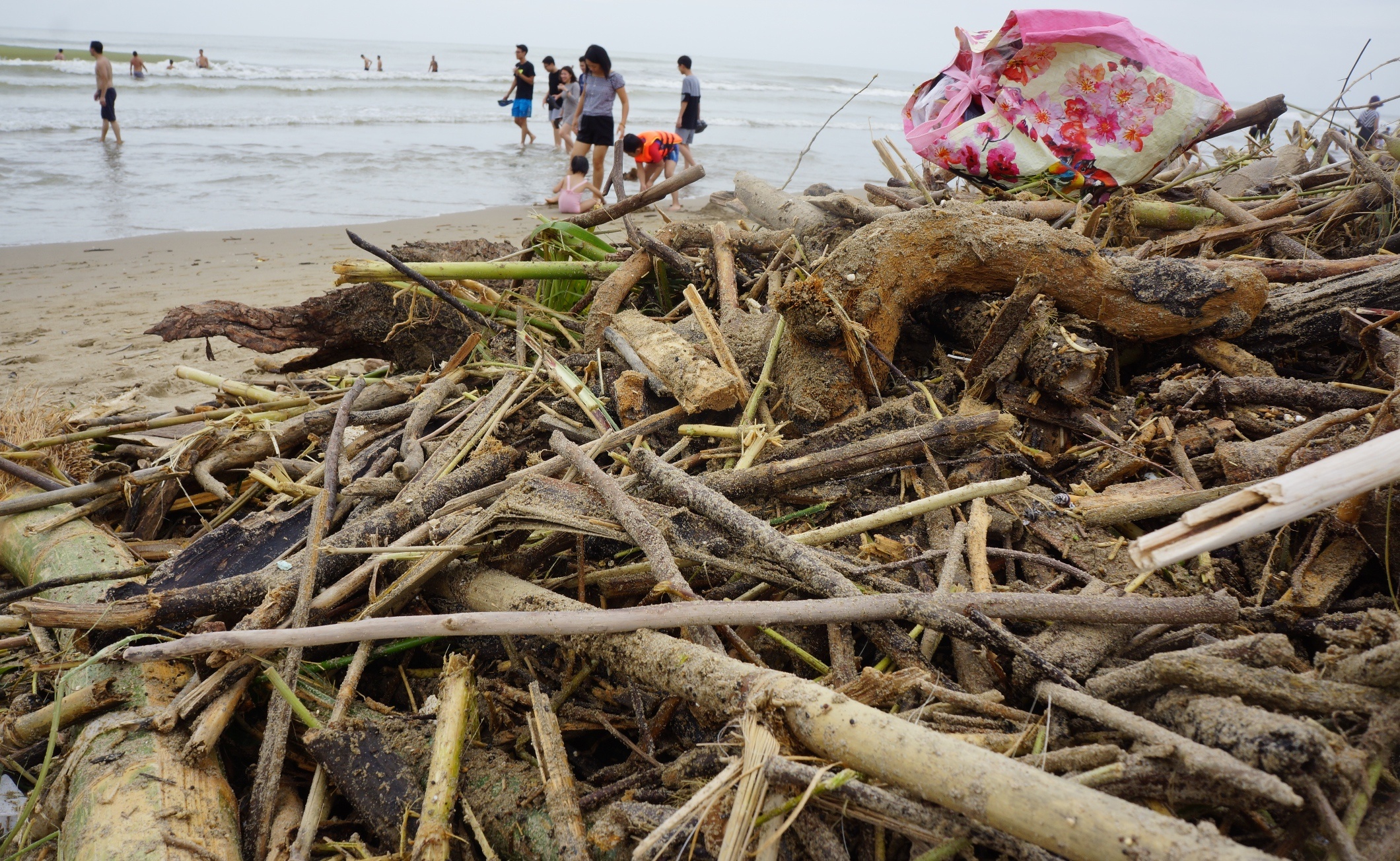 6 km bai bien Sam Son day than cay va cui hinh anh