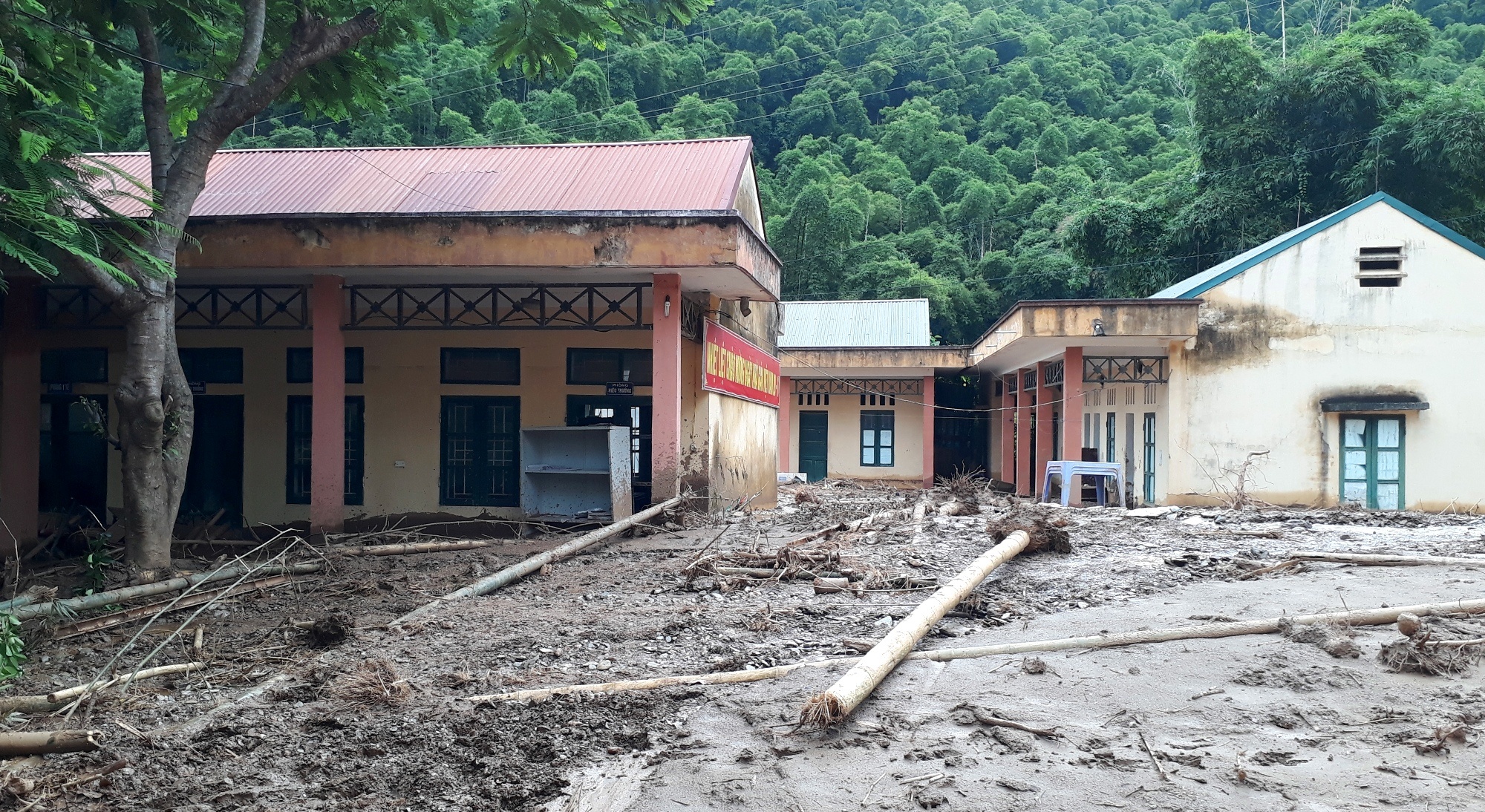 truong ngap bun truoc khai giang anh 1