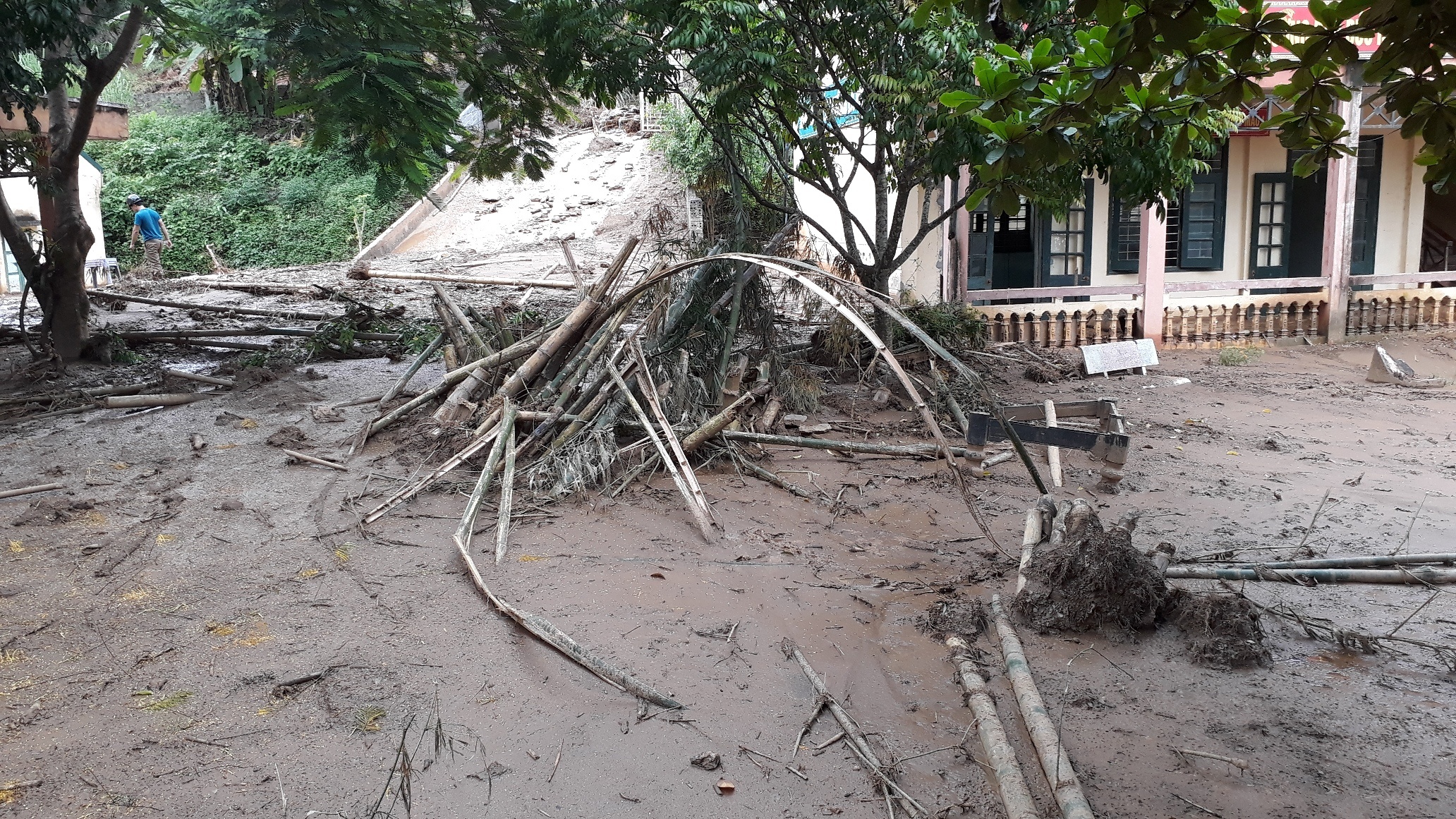 truong ngap bun truoc khai giang anh 7