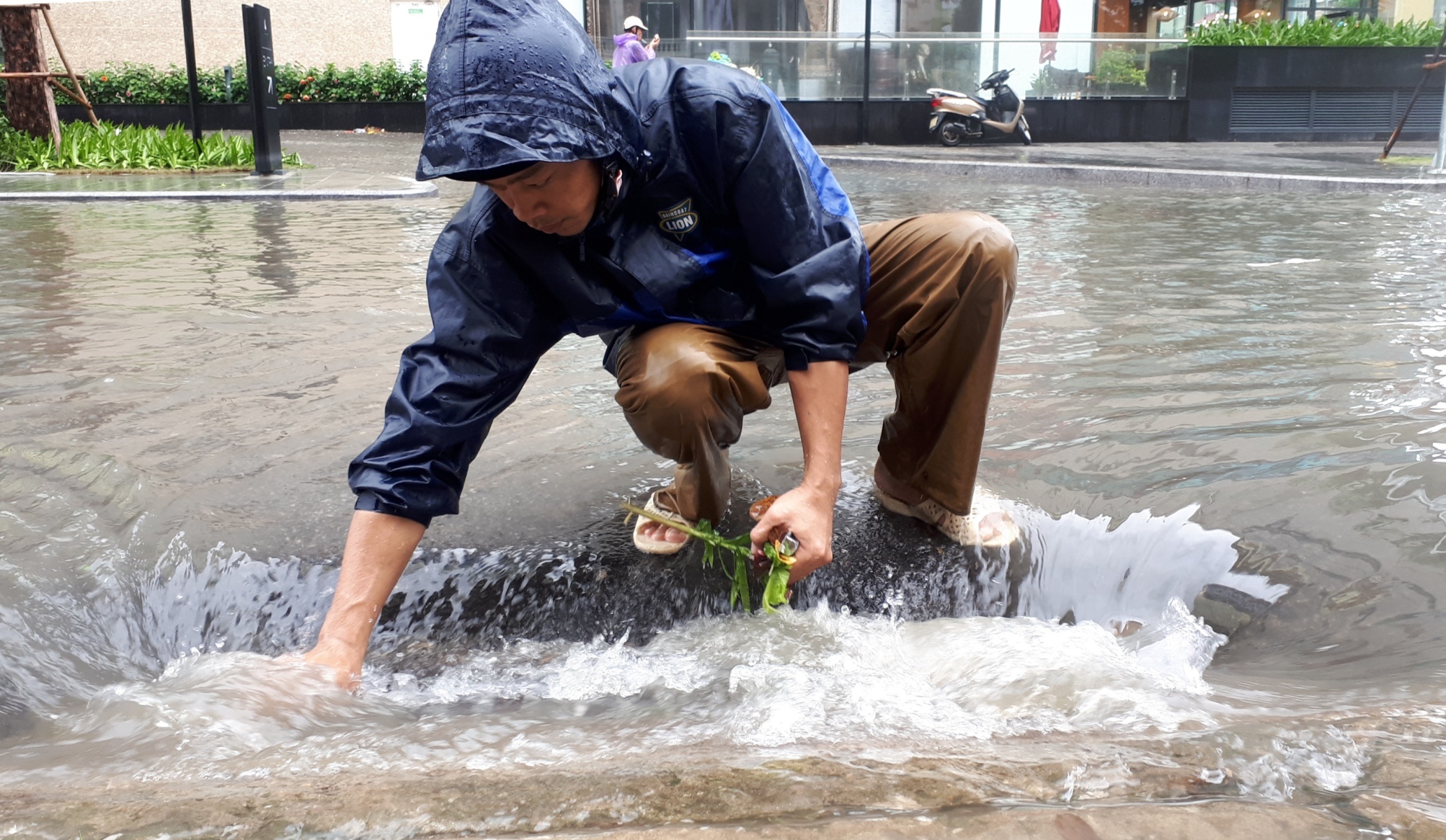 TP Thanh Hoa ngap sau anh 8