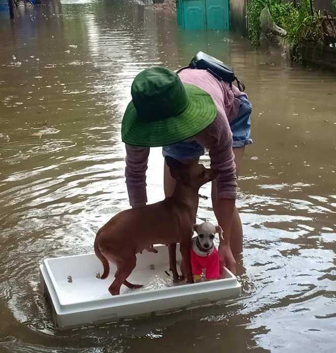 TP Thanh Hoa ngap sau anh 10