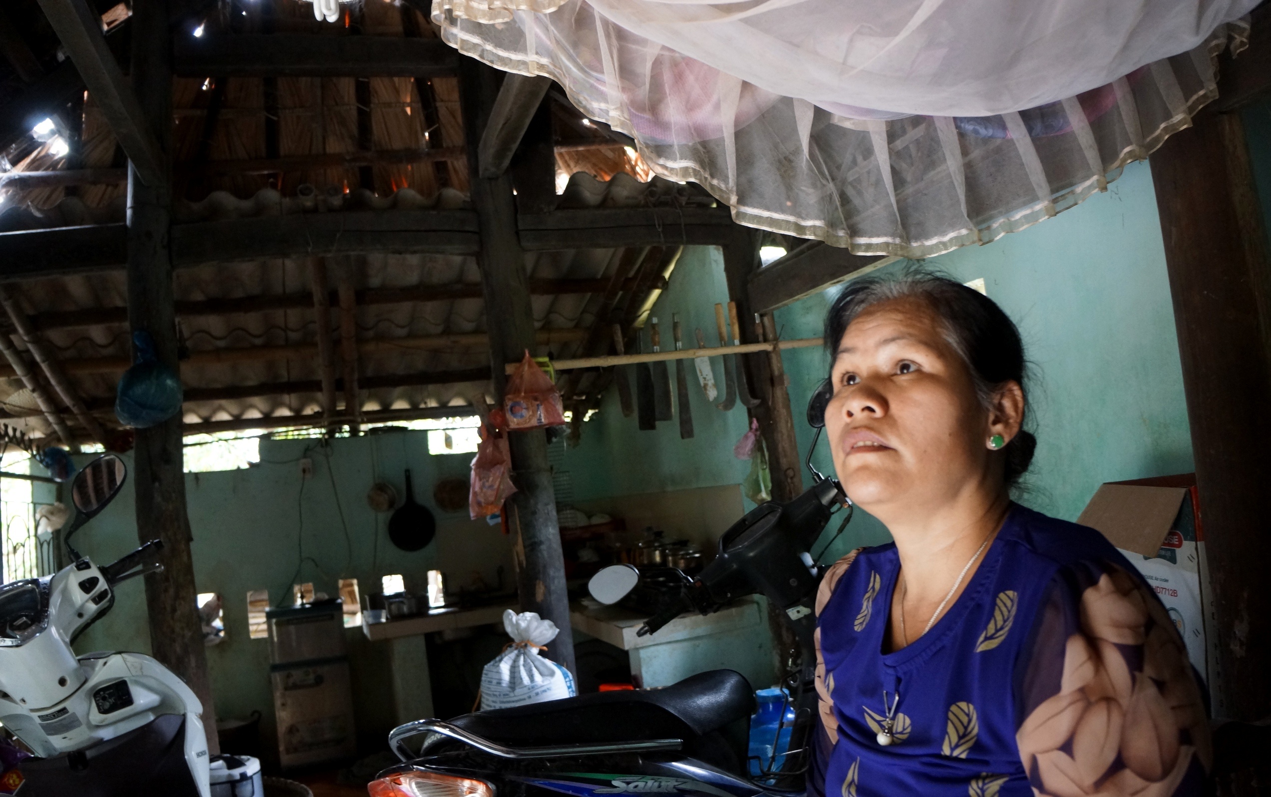 du an cau thanh noi hut chich anh 9