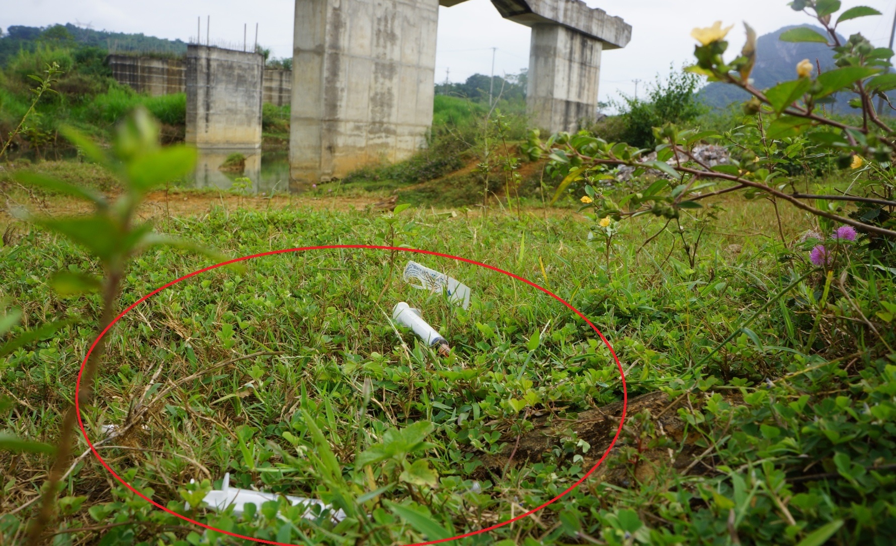 Du an cau 55 ty dong do dang thanh tu diem chich ma tuy hinh anh