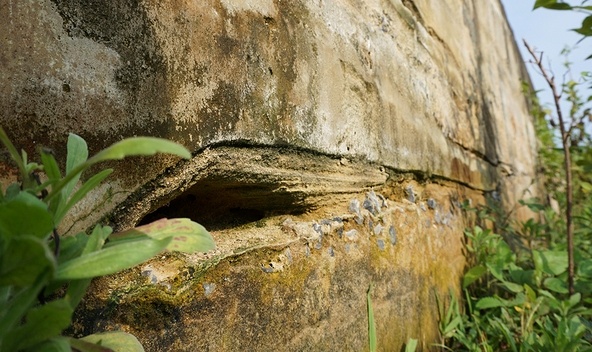 du an cau thanh noi hut chich anh 7