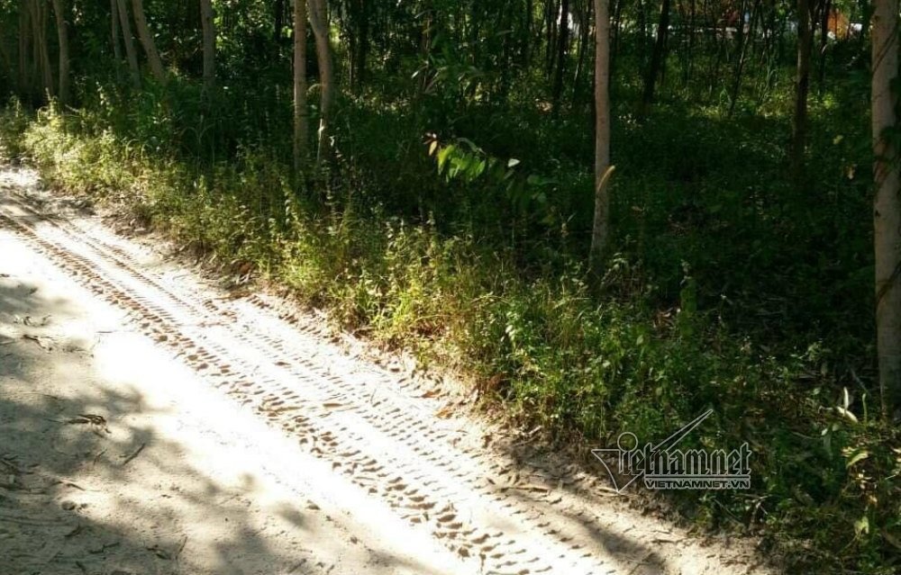 hiếp dâm, đánh mù mắt nữ sinh ảnh 2 hiep dam, danh mu mat nu sinh anh 2