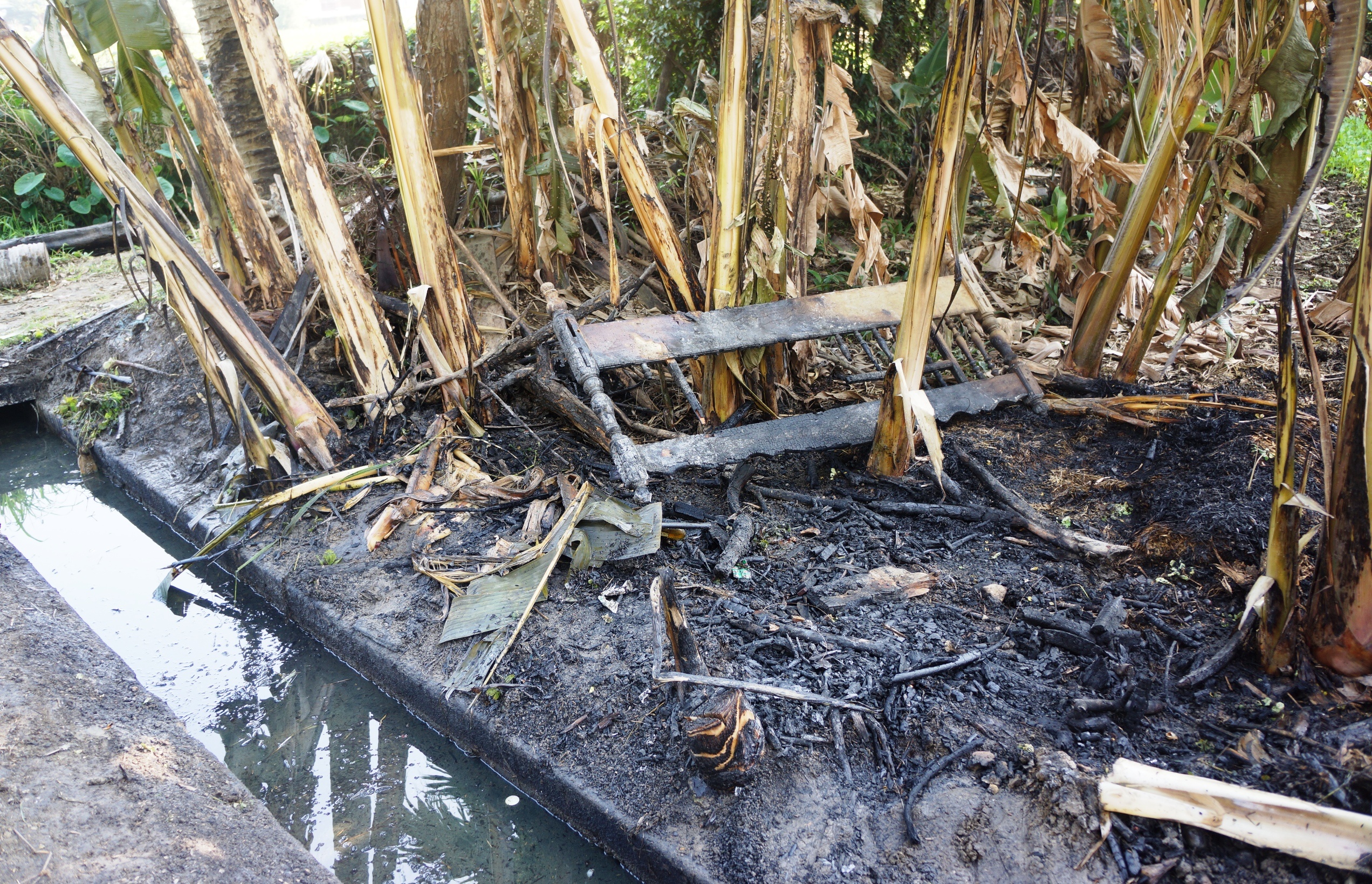 4.000 lit dau tran khien kenh boc chay, sinh vat chet hang loat hinh anh