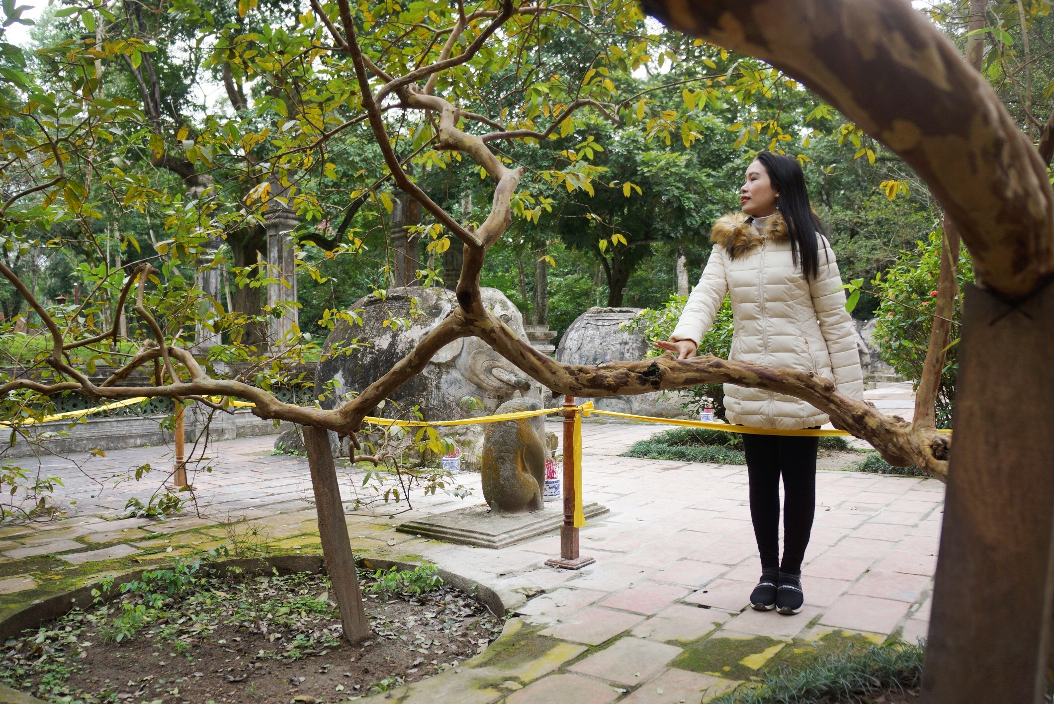 quan the cay di san Lam Kinh anh 9