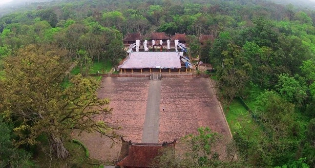 quan the cay di san Lam Kinh anh 1