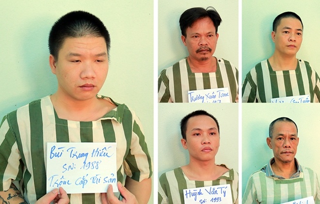 Gia ho so xin viec, 'rut ruot' hang ty dong cua cong ty van tai hinh anh