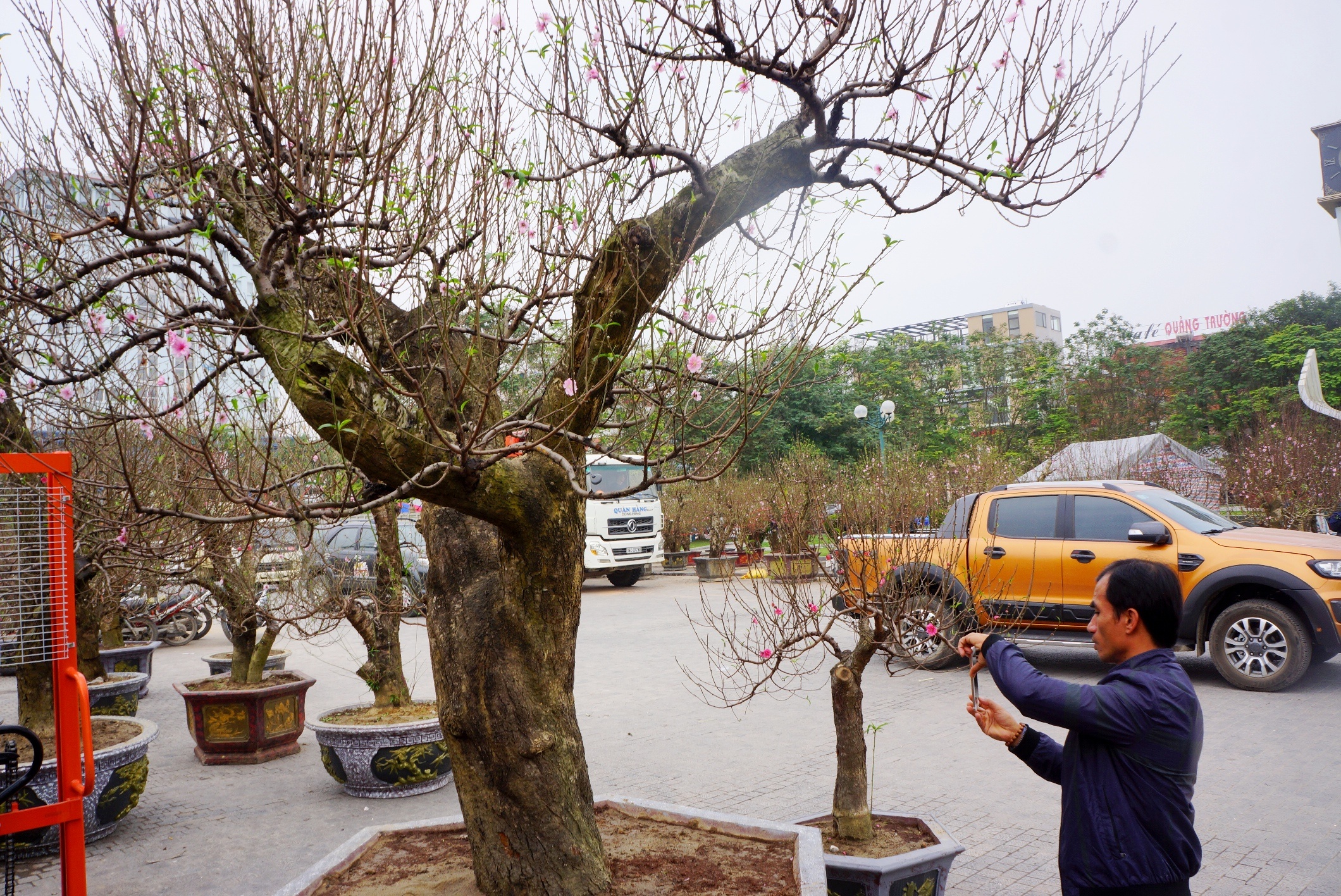 goc dao het gia 100 trieu anh 2