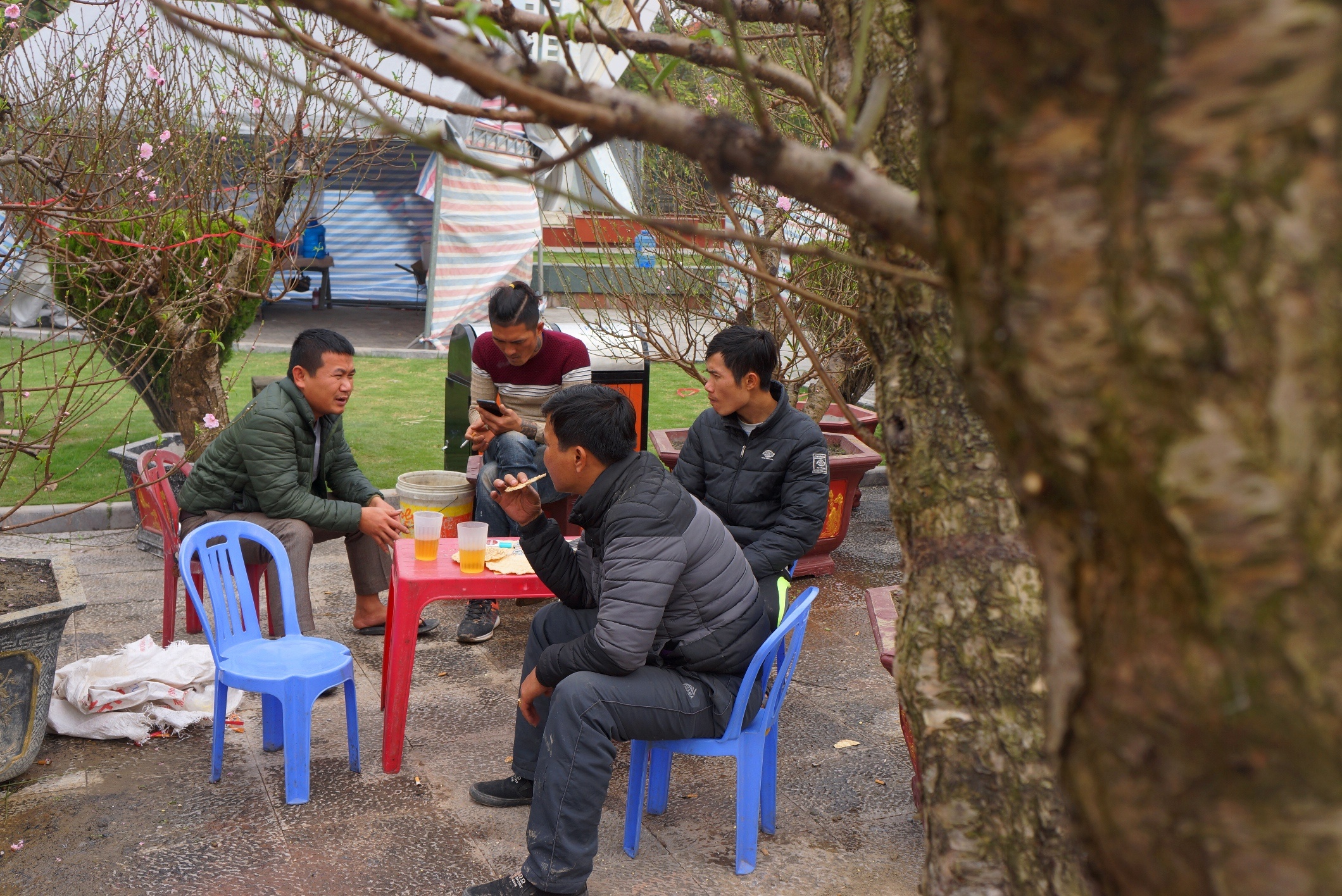 goc dao het gia 100 trieu anh 8