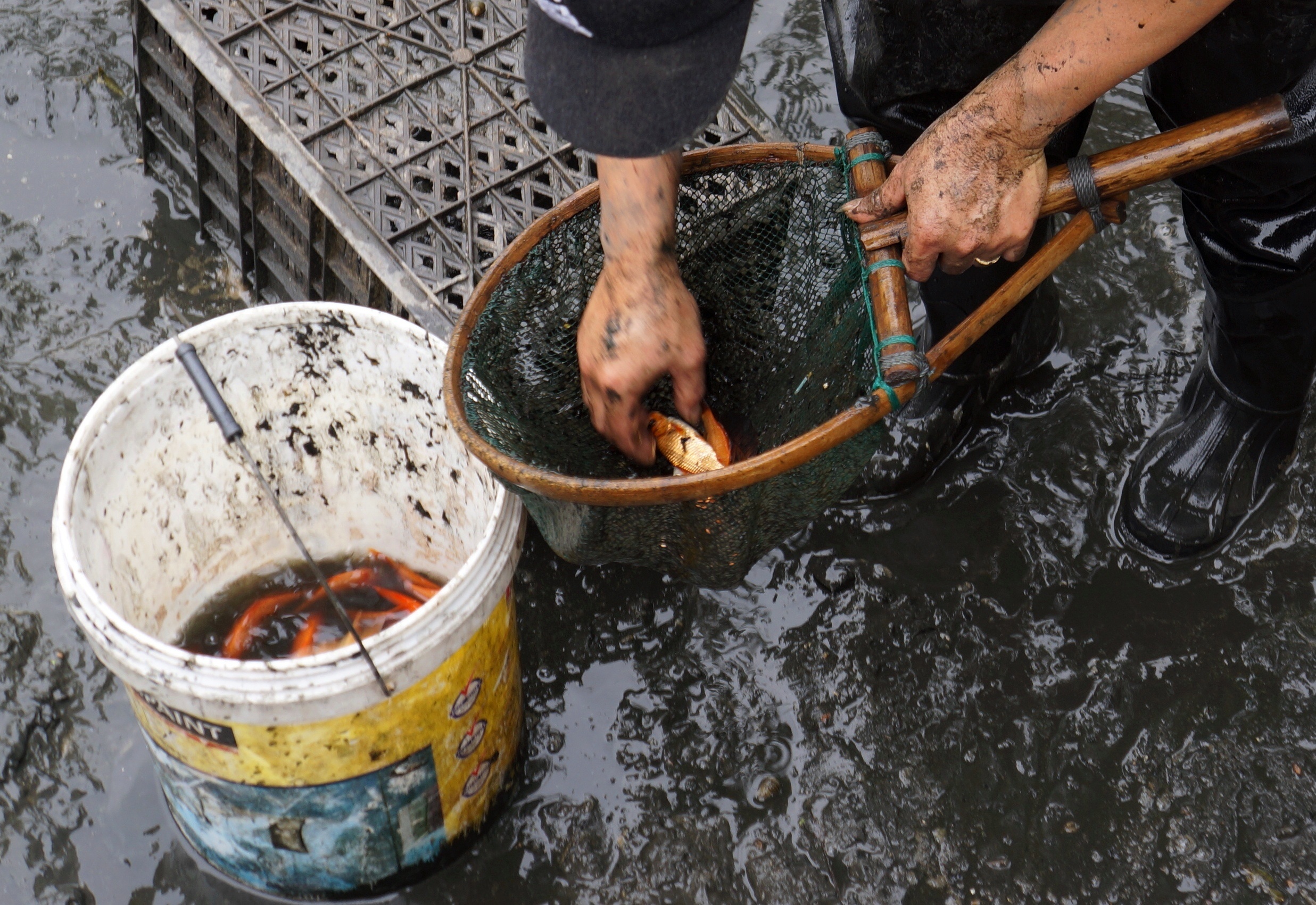 lang ca chep truoc ngay ong Tao anh 6