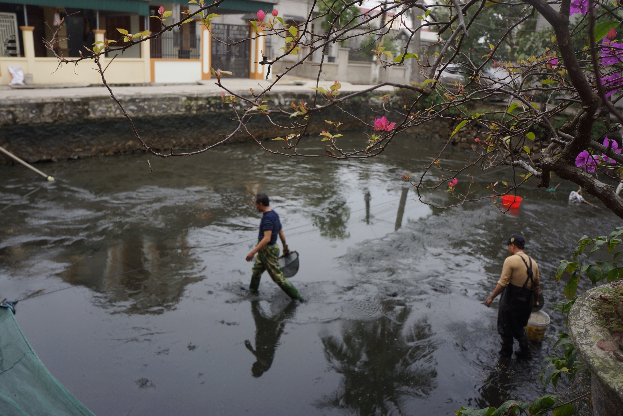 lang ca chep truoc ngay ong Tao anh 3