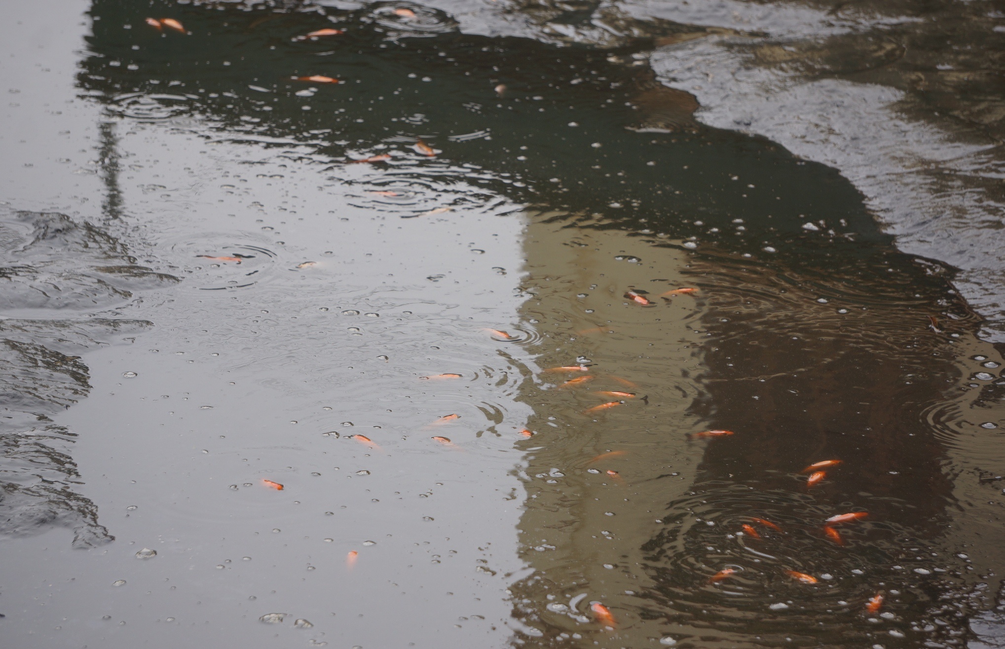 lang ca chep truoc ngay ong Tao anh 4