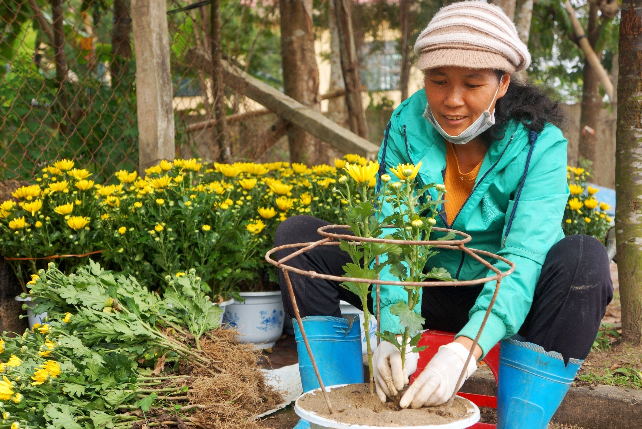 lang trong hoa lon nhat xu Thanh anh 7