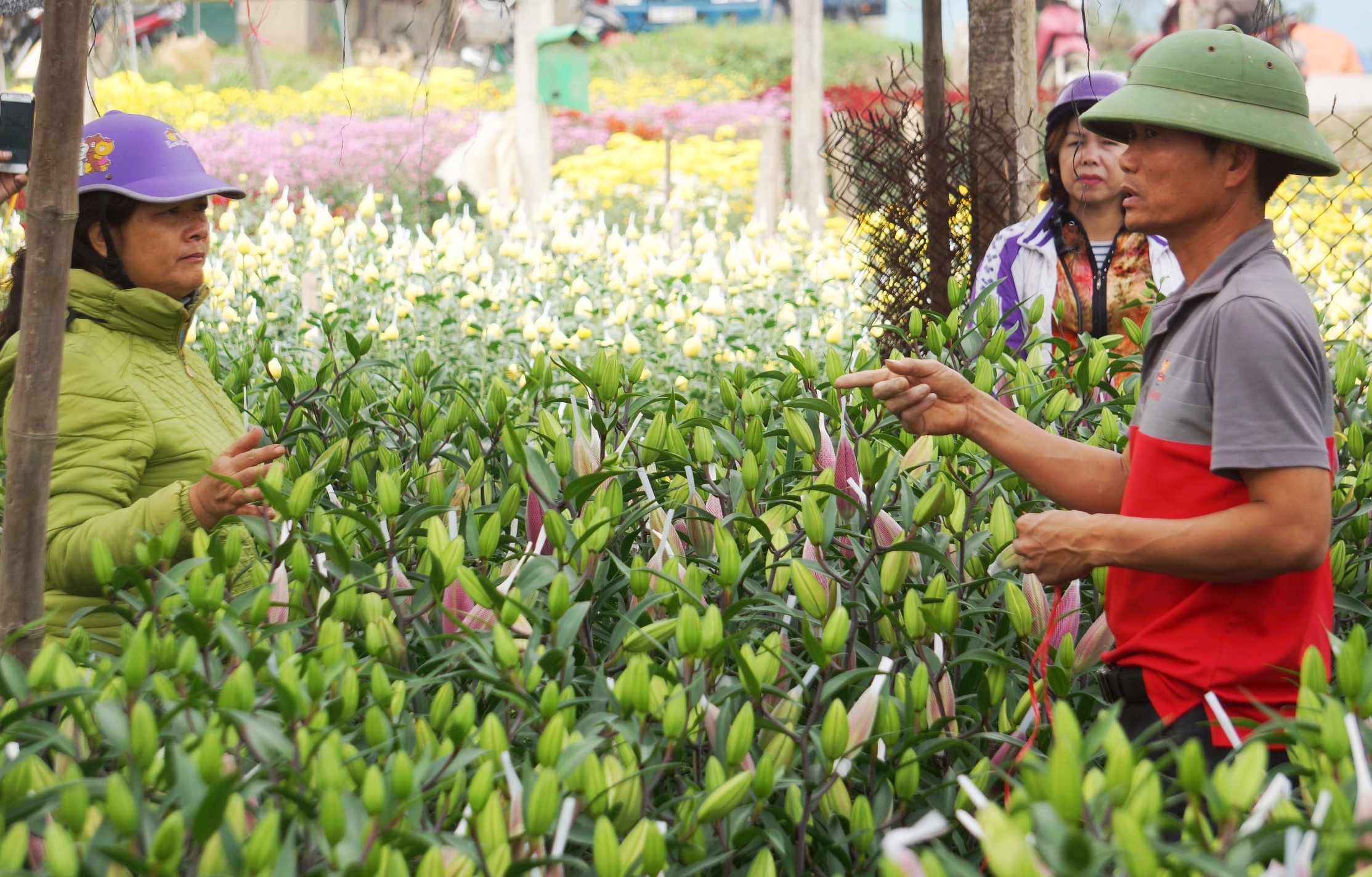 lang trong hoa lon nhat xu Thanh anh 8