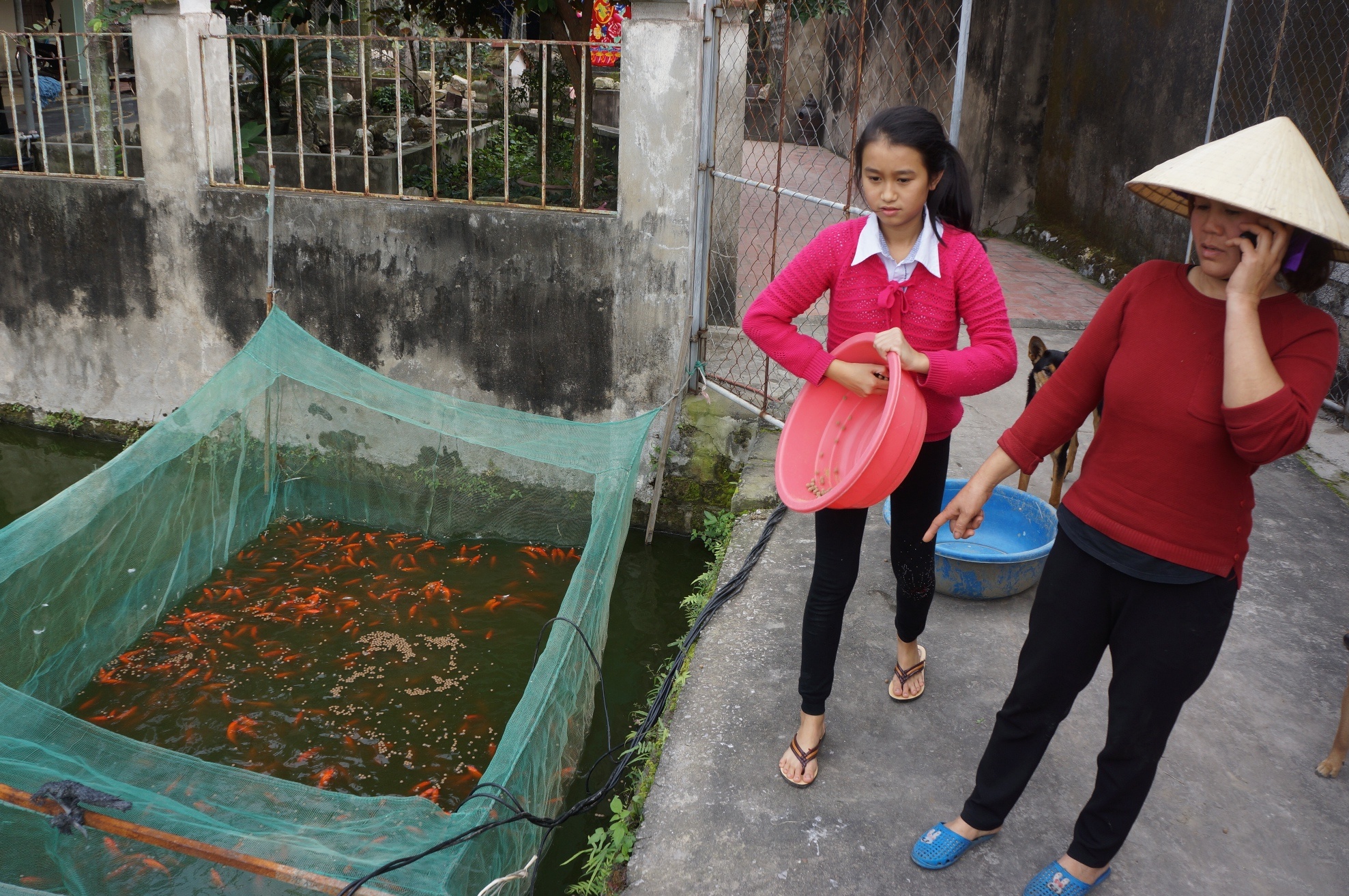 lang ca chep truoc ngay ong Tao anh 9