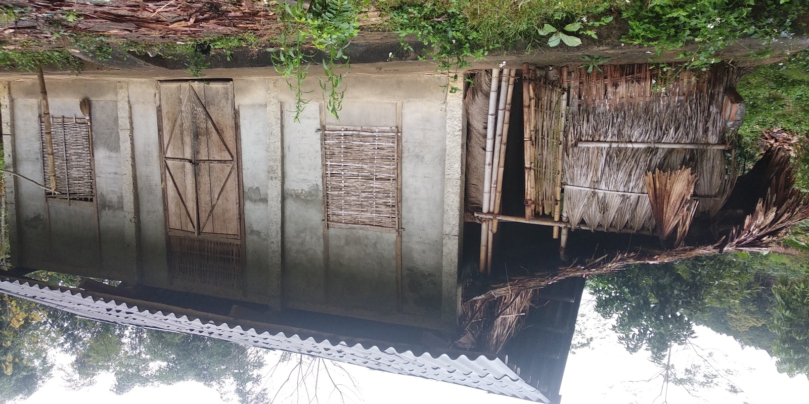 40 trinh sat pha ky an xac chet duoi muong nuoc hinh anh