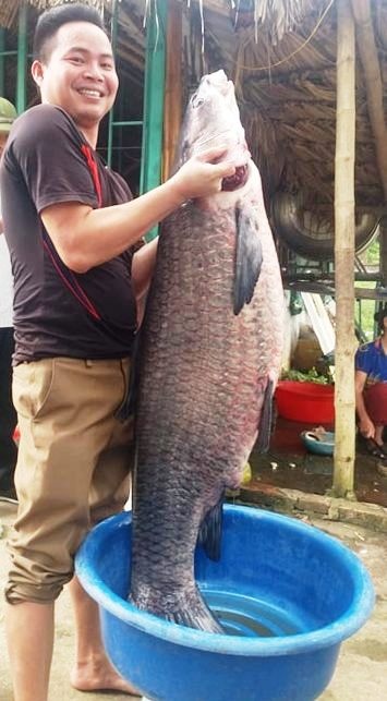 ca tram dai gan 1 m mac luoi anh 1