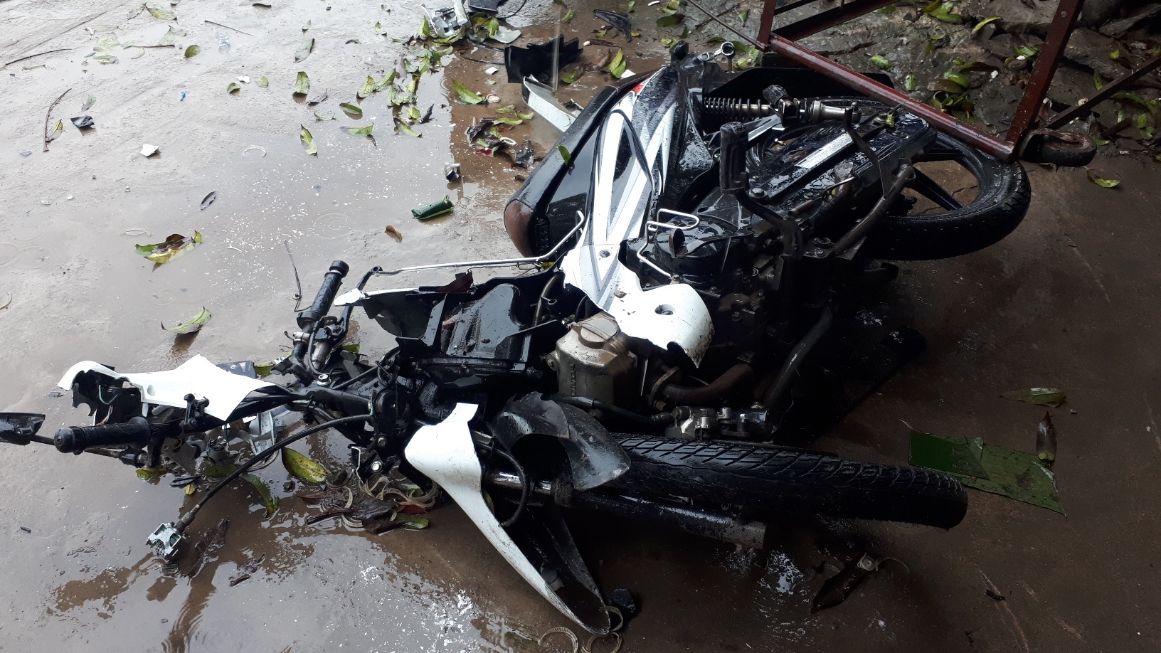 tai nan lien hoan anh 4