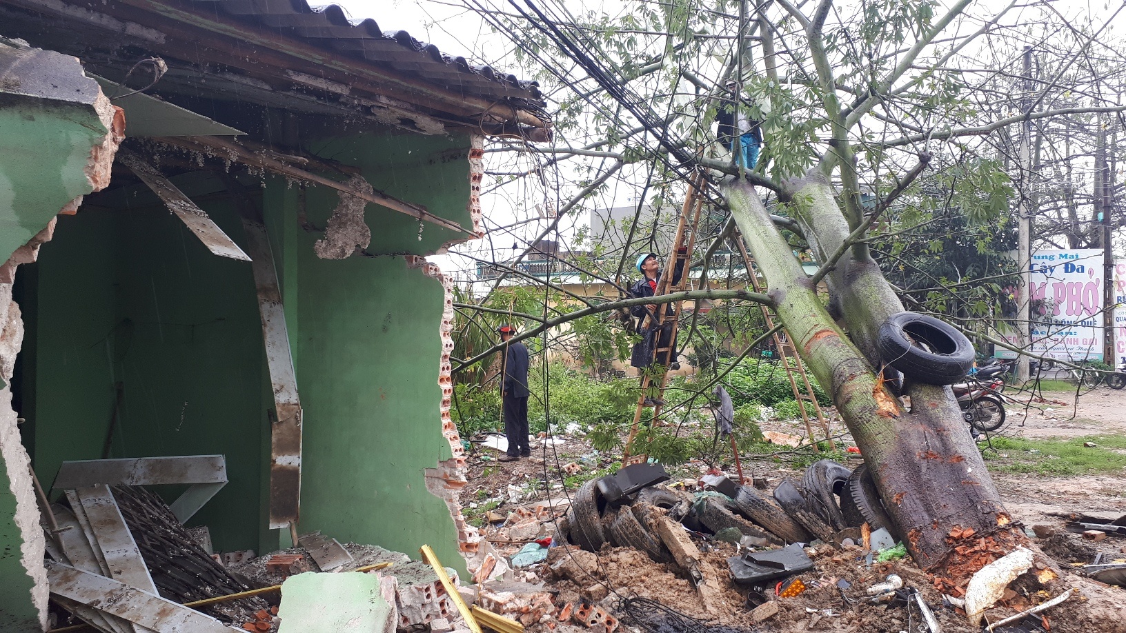 tai nan lien hoan anh 5