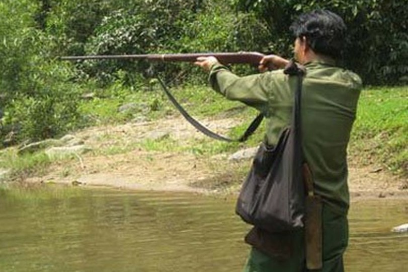 Khoi to tho san ban chet nguoi vi tuong ga rung hinh anh