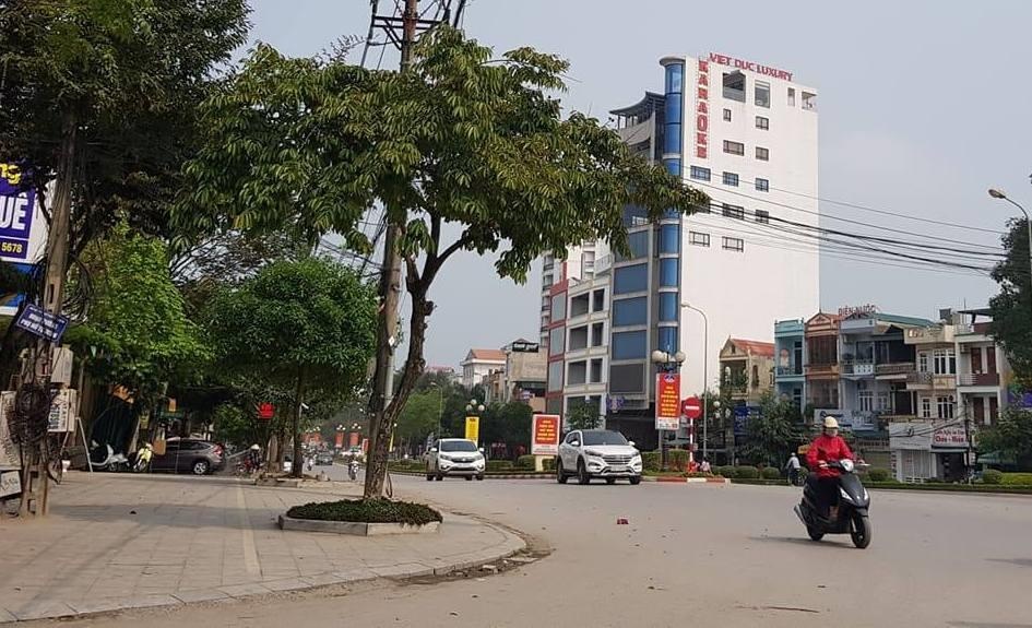 con do no sung anh 1