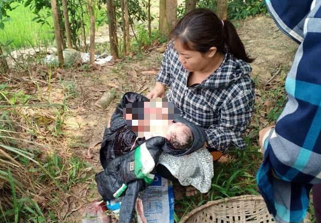 Be so sinh con nguyen day ron bi bo roi tren canh dong hinh anh