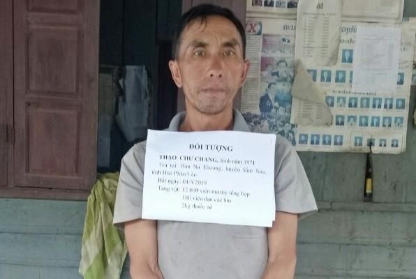 Bat nguoi nuoc ngoai van chuyen 12.000 vien ma tuy, 180 vien dan hinh anh