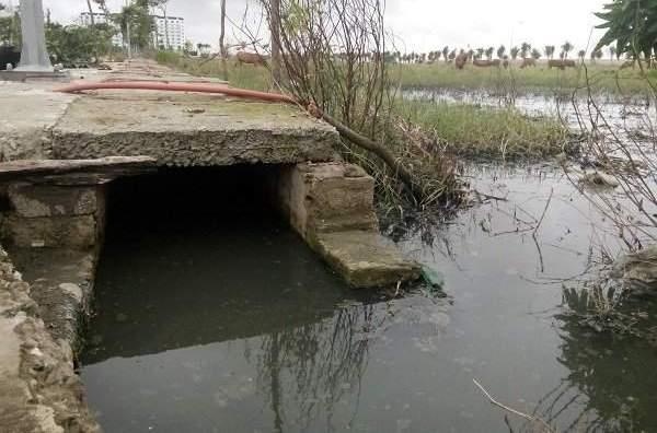 vinh danh cong ty o nhiem anh 2