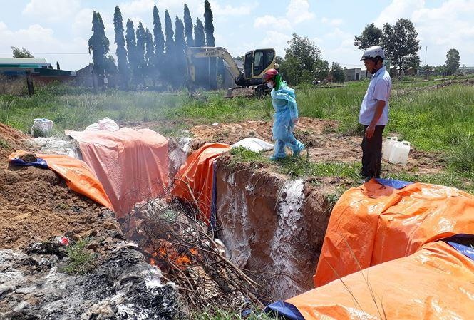 Nguoi dan 'giau' hon 4 tan thit lon dich ta trong kho dong lanh hinh anh