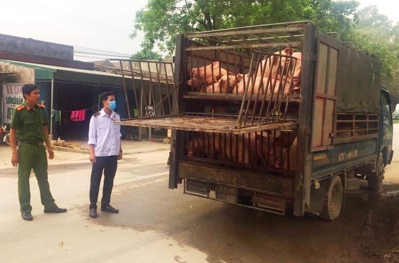 xe tải chở lợn ốm ảnh 1 xe tai cho lon om anh 1