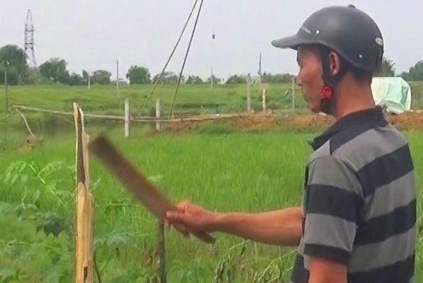 Chat pha hon 100 goc xoan trong con say de tra thu hinh anh