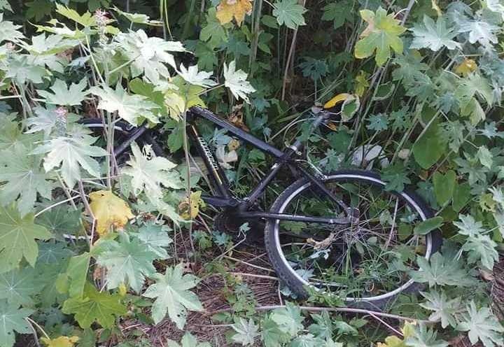 Chiec xe dap canh thi the nguoi dan ong trong cong vien hinh anh