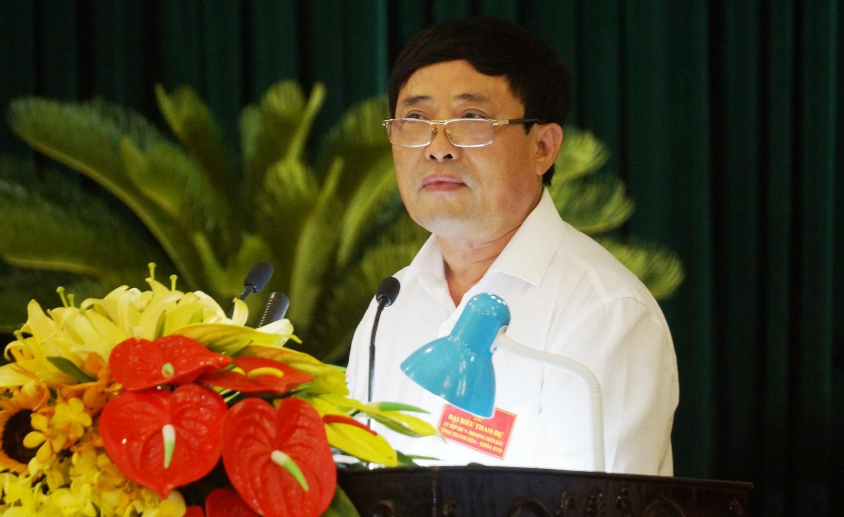 HDND Thanh Hoa dung chat van Giam doc So TN&MT vi 'lac de' hinh anh