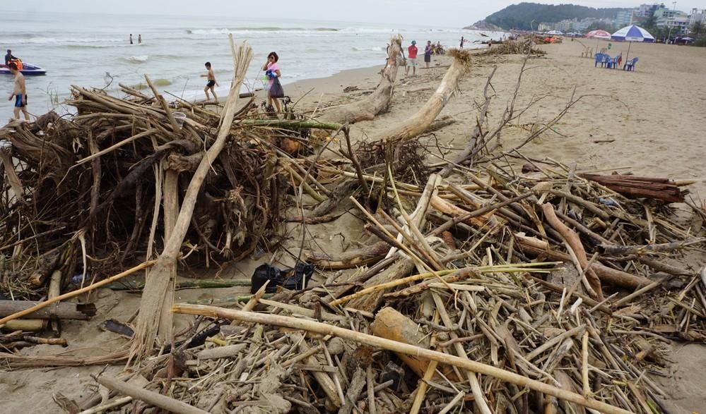 Phat hien 2 thi the troi dat vao bo bien Thanh Hoa sau lu hinh anh