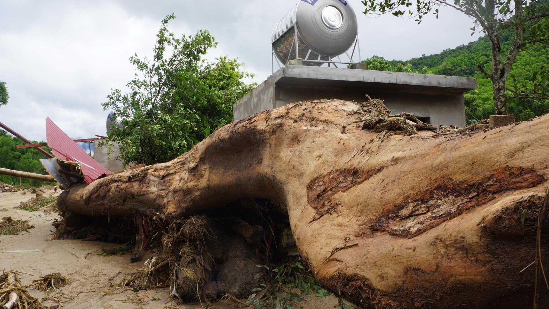 ban lang tan hoang sau lu anh 5