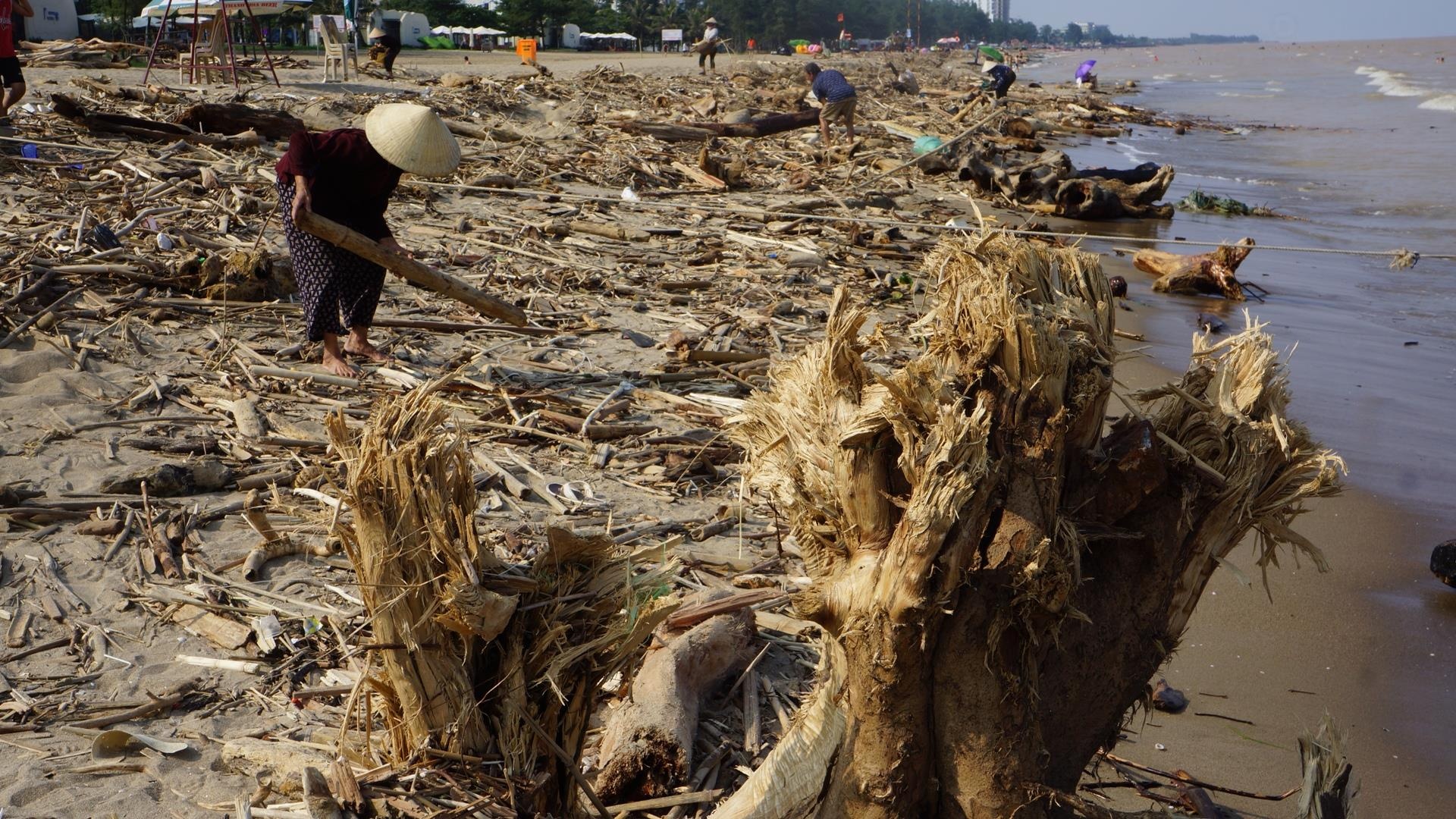 bien Sam Son ngap rac cui anh 5