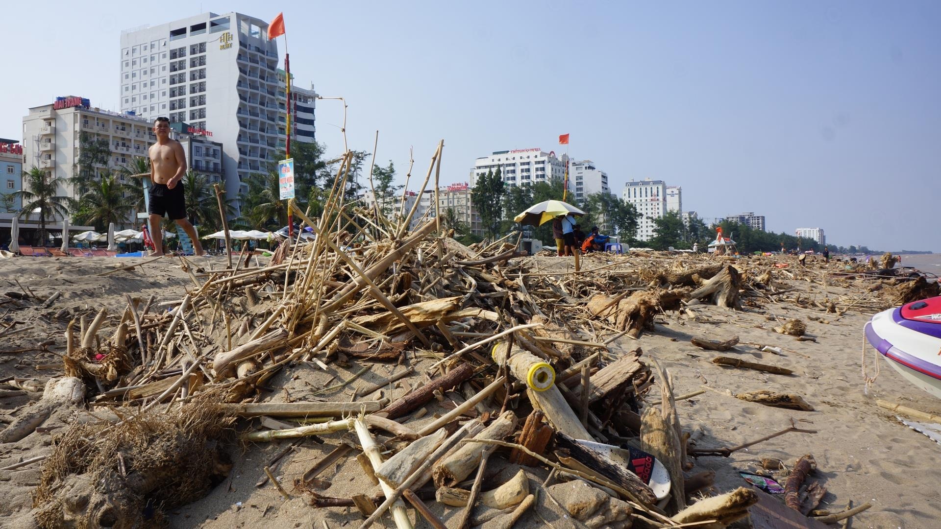 bien Sam Son ngap rac cui anh 1