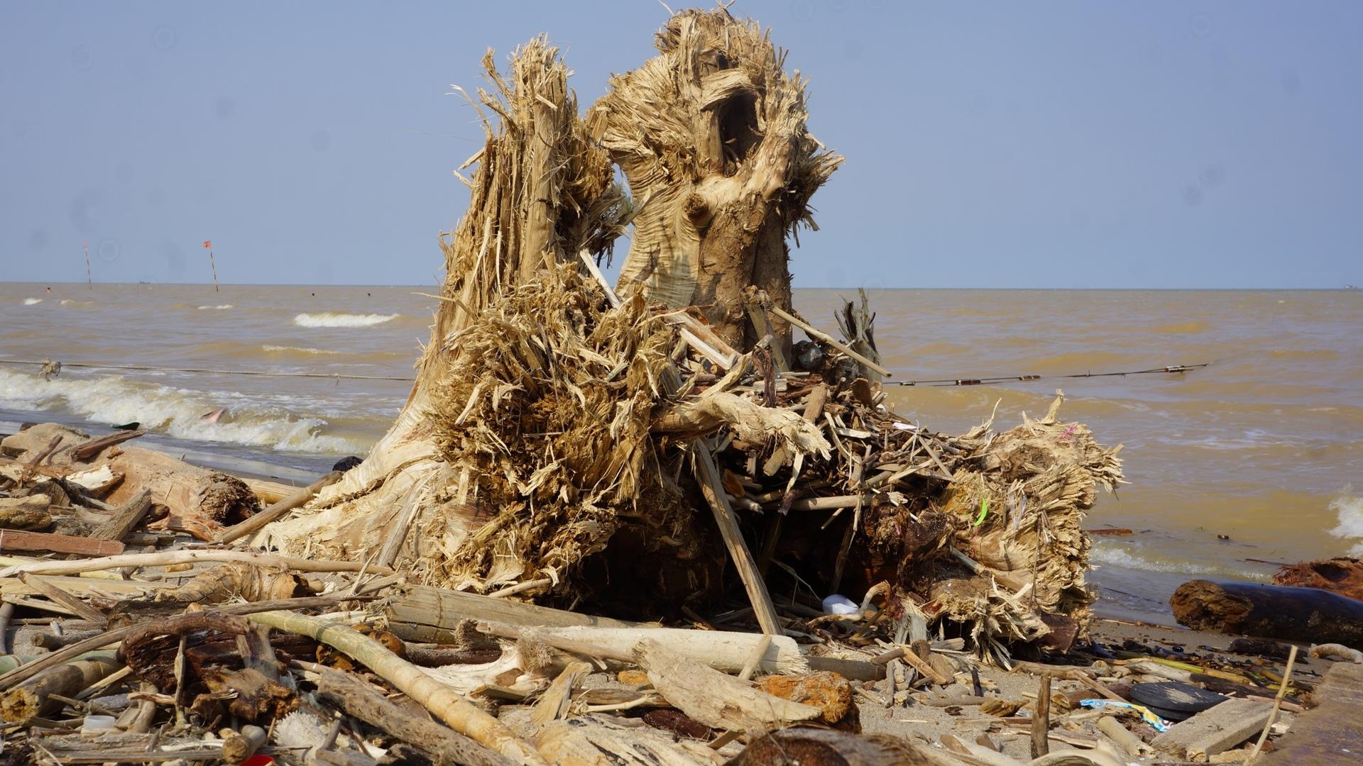 bien Sam Son ngap rac cui anh 2