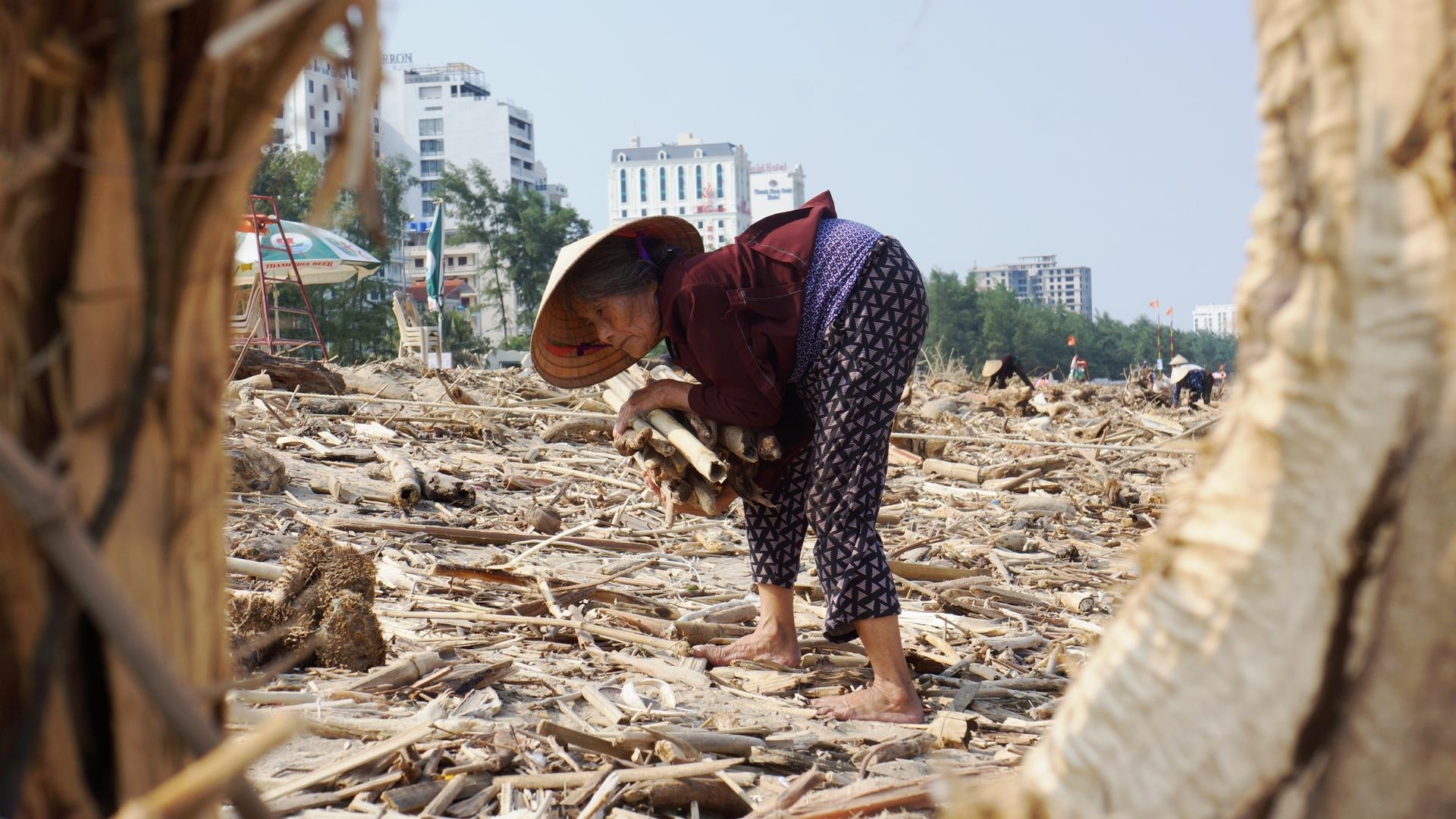 Hang tram tan cui va rac thai phu khap bai tam Sam Son sau mua lu hinh anh