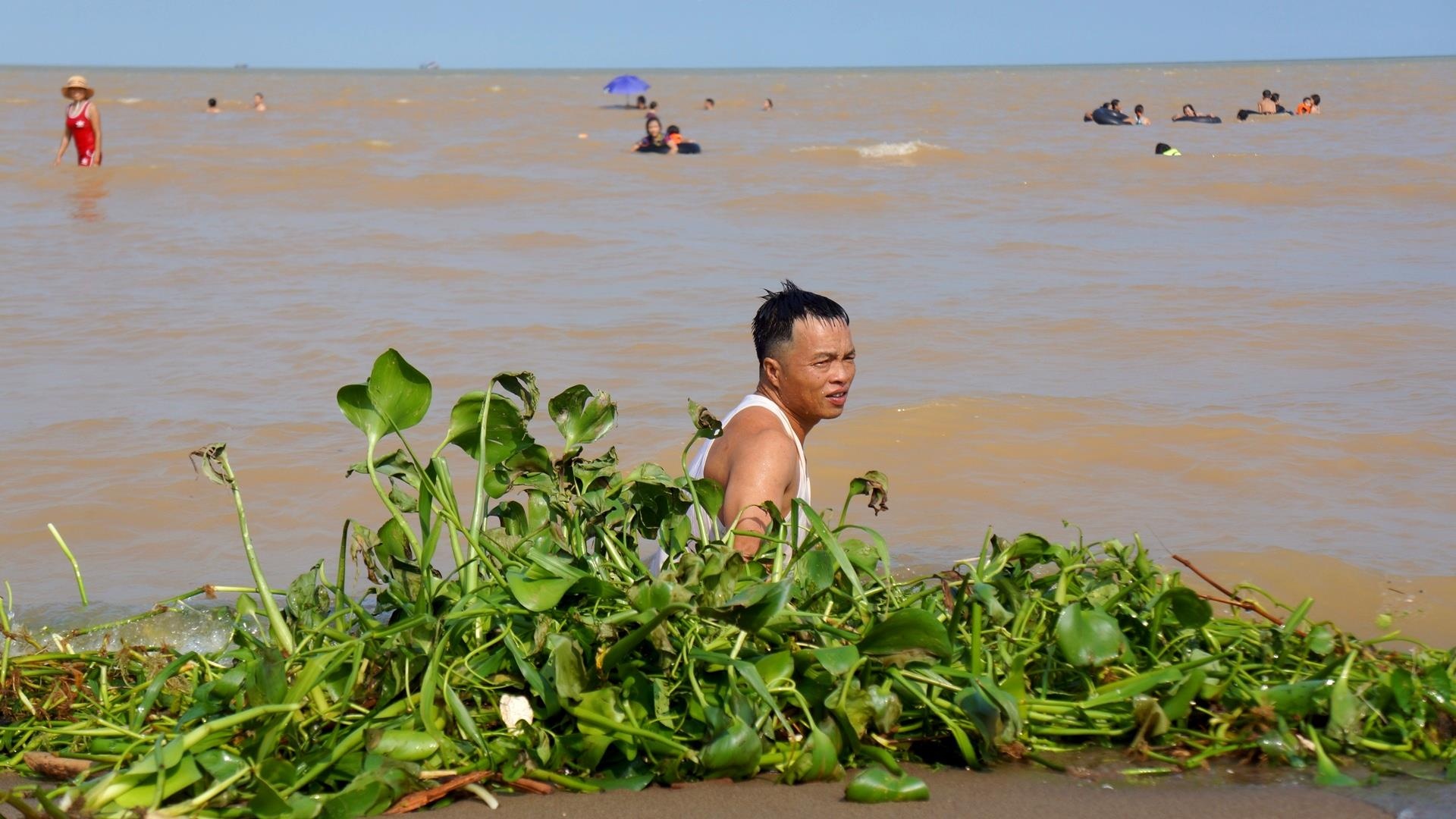 bien Sam Son ngap rac cui anh 4