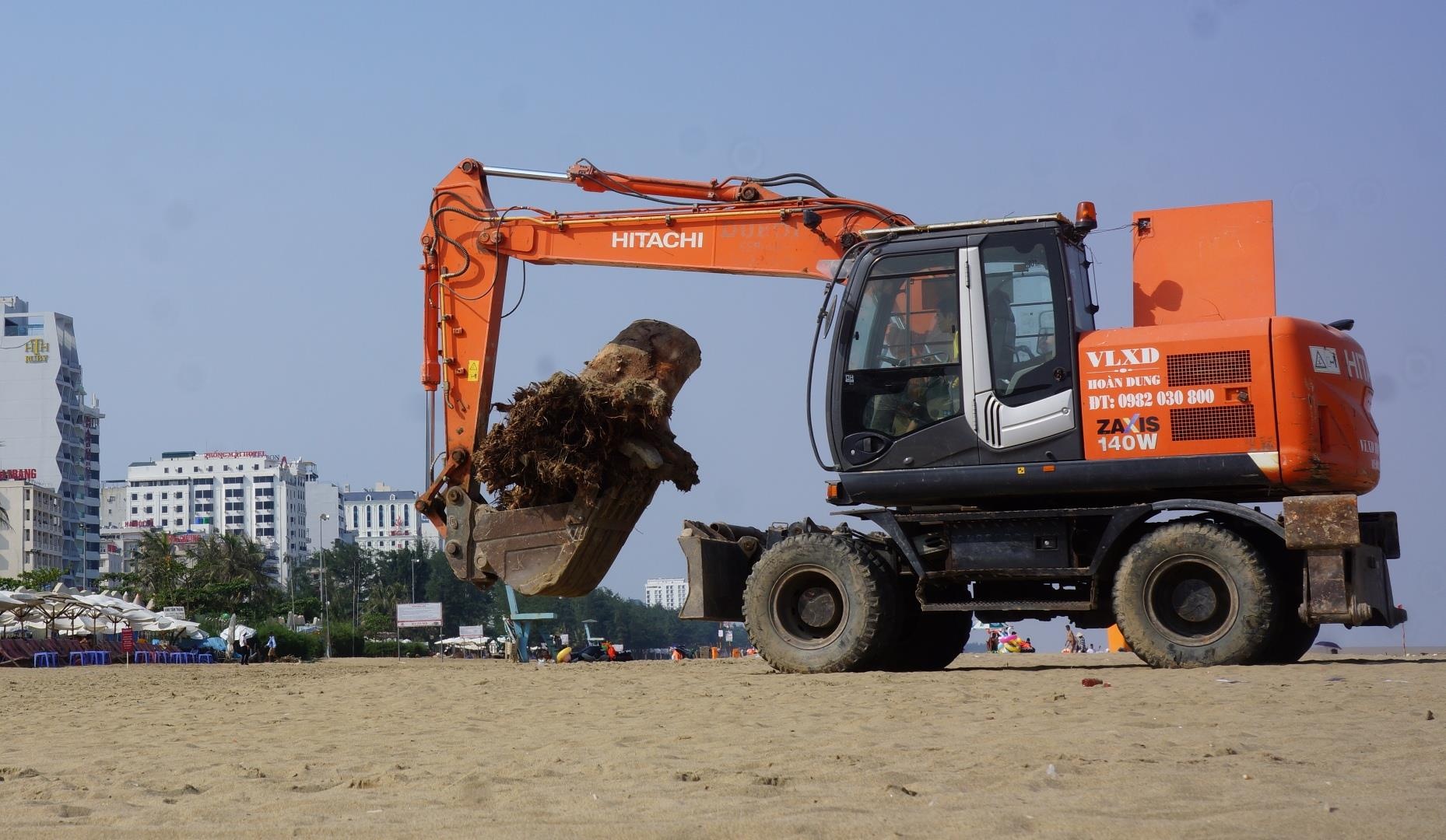 bien Sam Son ngap rac cui anh 8